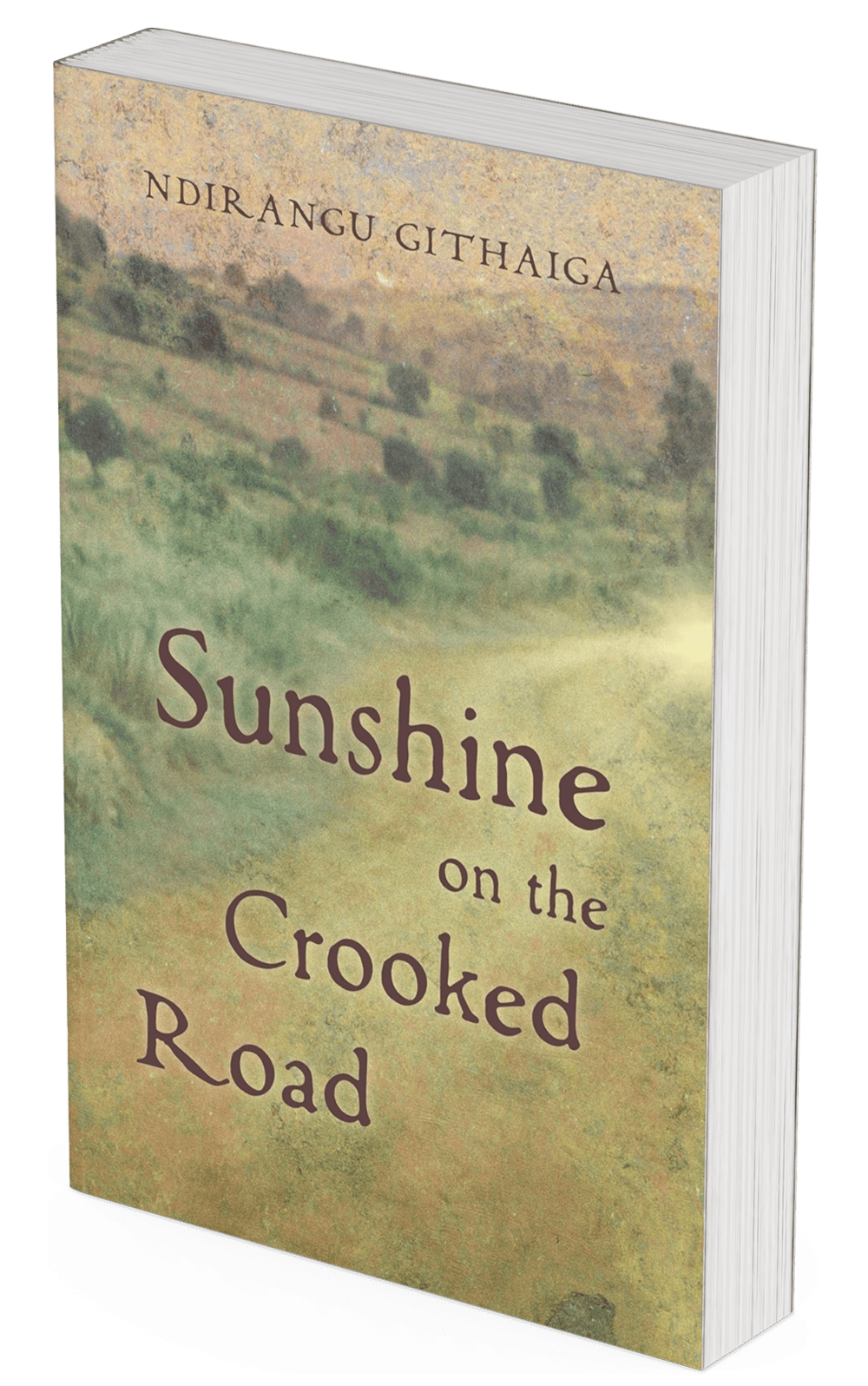Sunshine on the Crooked Road